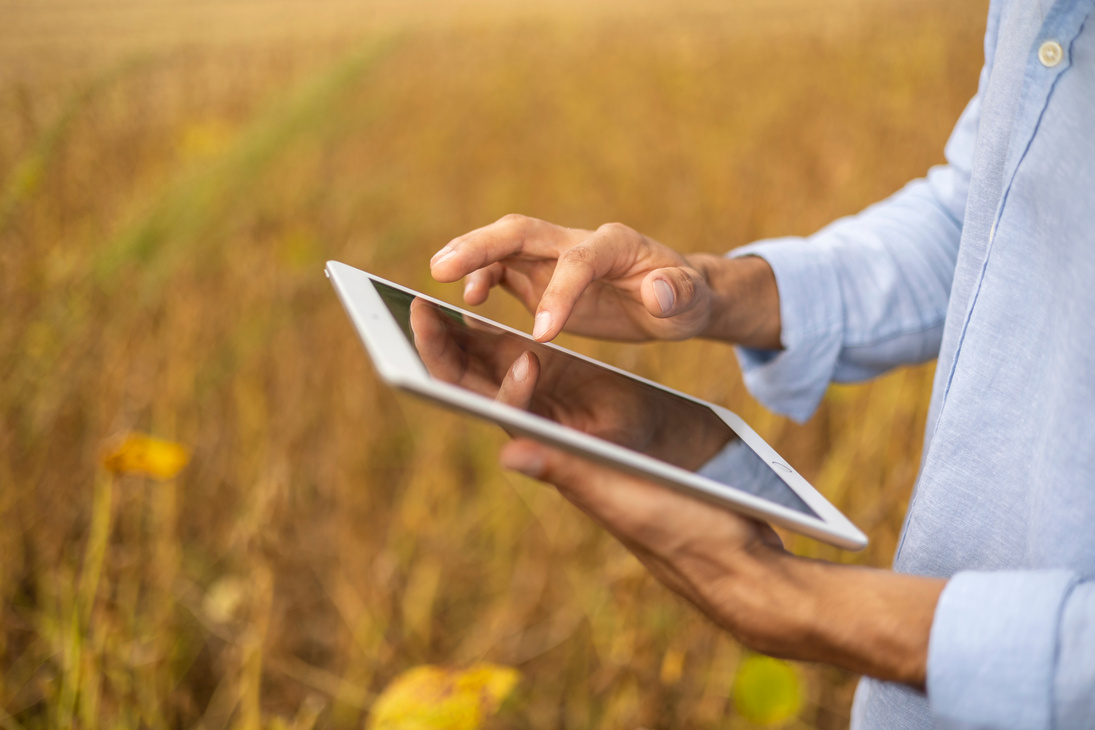 Man with hat using tablet in soybean field